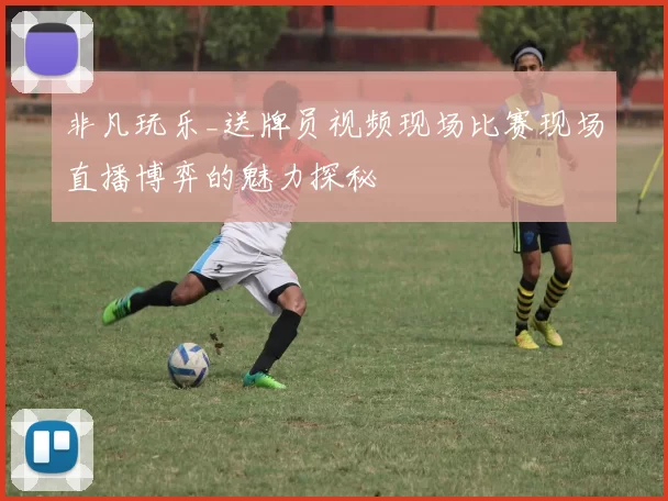 非凡玩乐_送牌员视频现场比赛现场直播博弈的魅力探秘