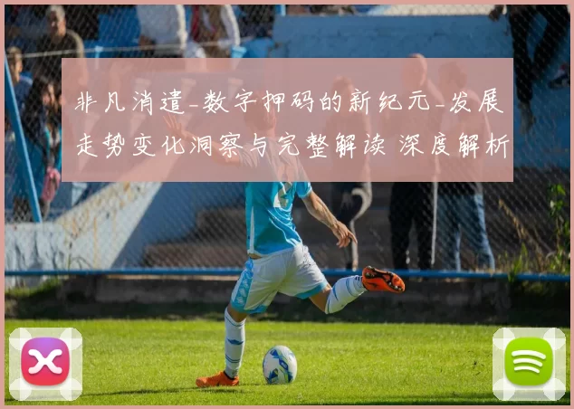 非凡消遣_数字押码的新纪元_发展走势变化洞察与完整解读 深度解析