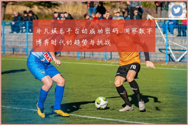 非凡娱乐平台的成功密码_洞察数字博弈时代的趋势与挑战