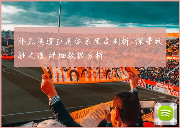 非凡消遣应用体系深度剖析_探寻致胜之道 详细数据分析