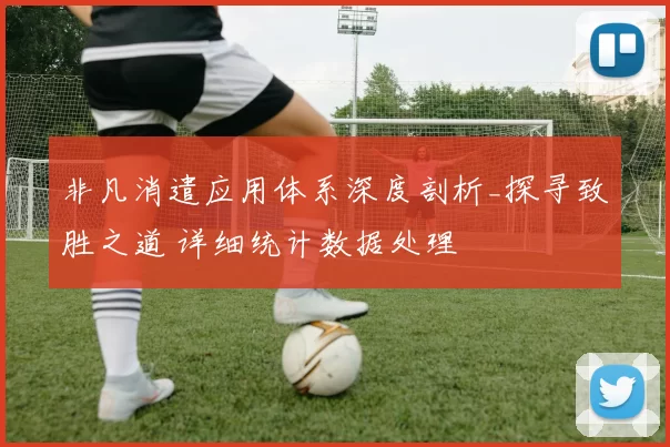 非凡消遣应用体系深度剖析_探寻致胜之道 详细统计数据处理