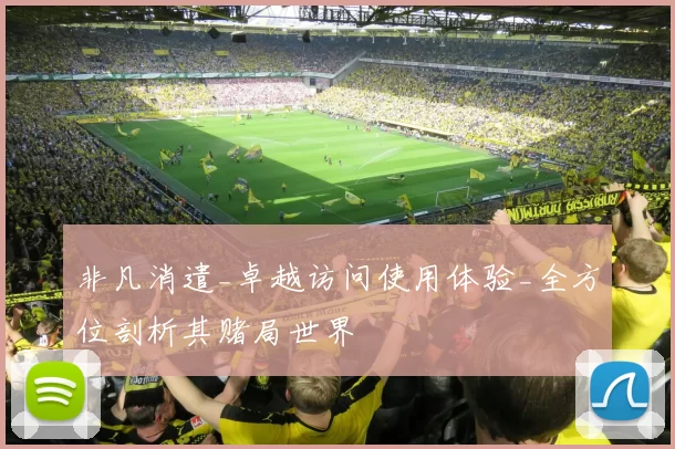 非凡消遣_卓越访问使用体验_全方位剖析其赌局世界