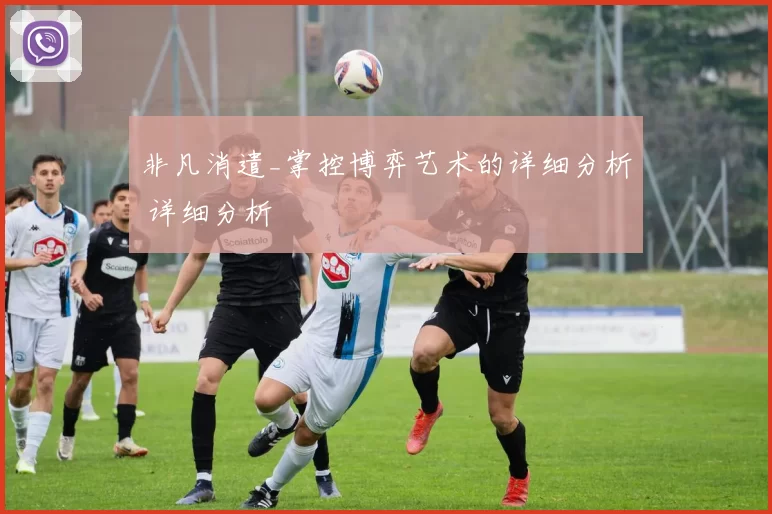 非凡消遣_掌控博弈艺术的详细分析 详细分析