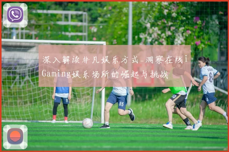 深入解读非凡娱乐方式_洞察在线iGaming娱乐场所的崛起与挑战
