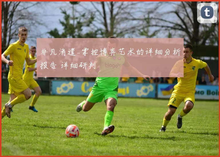 非凡消遣_掌控博弈艺术的详细分析报告 详细研判