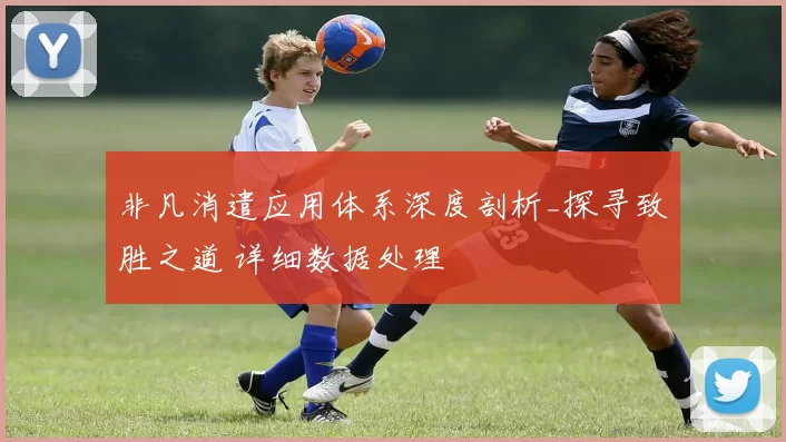 非凡消遣应用体系深度剖析_探寻致胜之道 详细数据处理