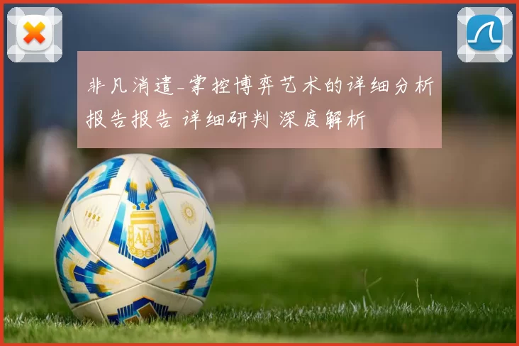 非凡消遣_掌控博弈艺术的详细分析报告报告 详细研判 深度解析