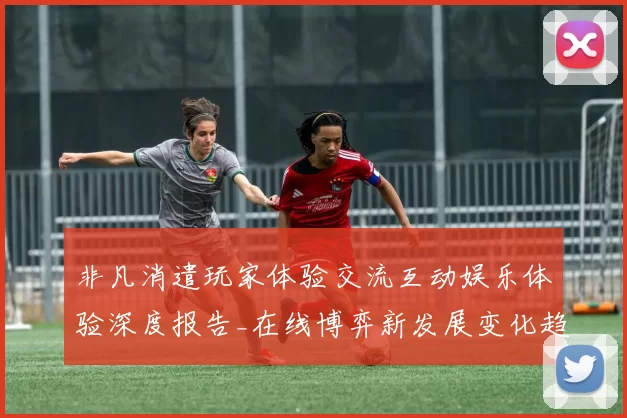 非凡消遣玩家体验交流互动娱乐体验深度报告_在线博弈新发展变化趋势剖析