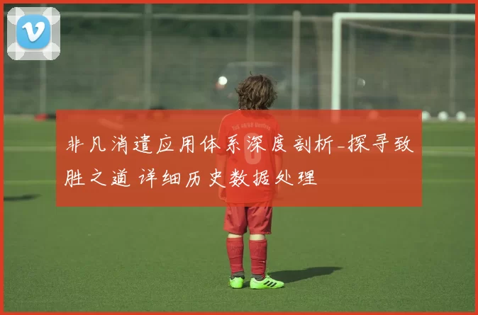 非凡消遣应用体系深度剖析_探寻致胜之道 详细历史数据处理