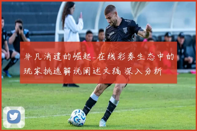 非凡消遣的崛起_在线彩券生态中的玩家挑选解说阐述文稿 深入分析 深度解析