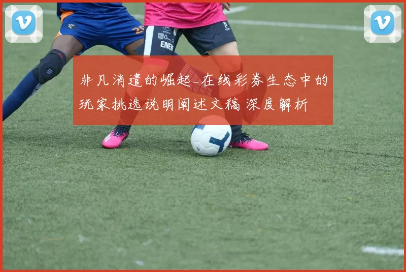 非凡消遣的崛起_在线彩券生态中的玩家挑选说明阐述文稿 深度解析