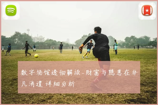 数字场馆透彻解读_财富与隐患在非凡消遣 详细分析