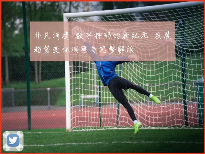 非凡消遣_数字押码的新纪元_发展趋势变化洞察与完整解读