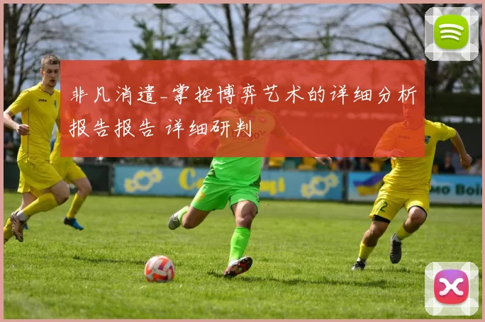 非凡消遣_掌控博弈艺术的详细分析报告报告 详细研判